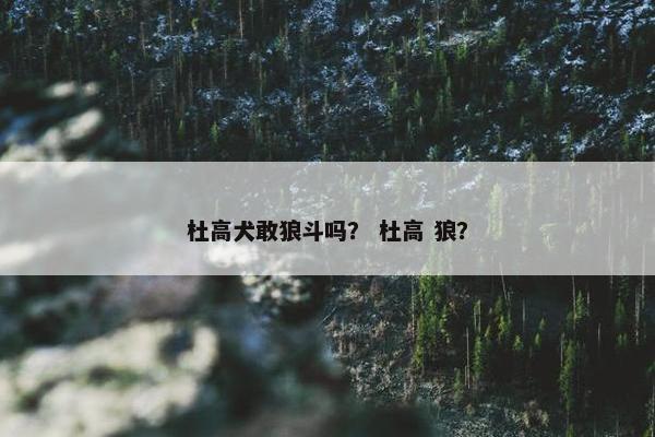 杜高犬敢狼斗吗？ 杜高 狼？