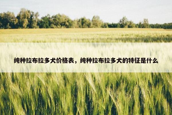 纯种拉布拉多犬价格表，纯种拉布拉多犬的特征是什么