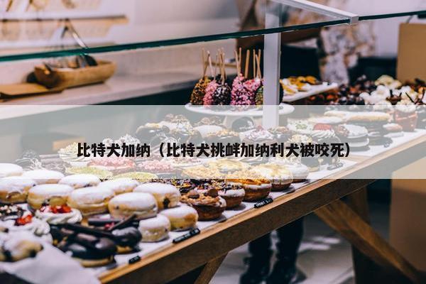 比特犬加纳（比特犬挑衅加纳利犬被咬死）
