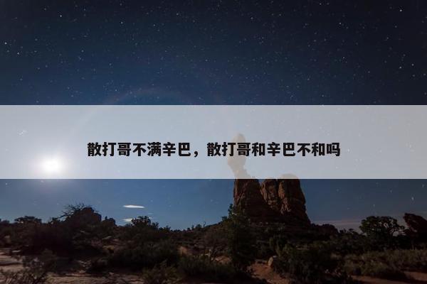 散打哥不满辛巴，散打哥和辛巴不和吗