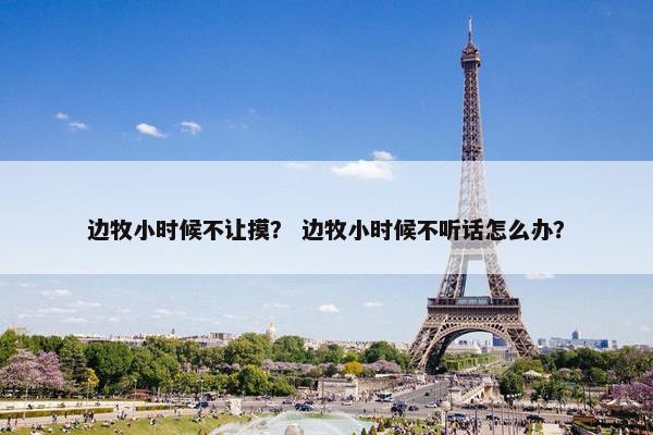 边牧小时候不让摸？ 边牧小时候不听话怎么办？