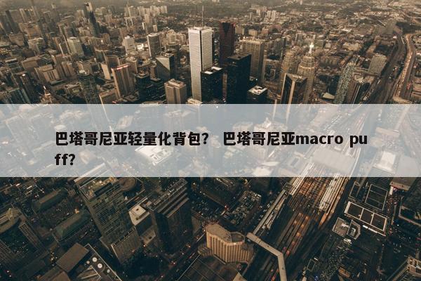 巴塔哥尼亚轻量化背包？ 巴塔哥尼亚macro puff？
