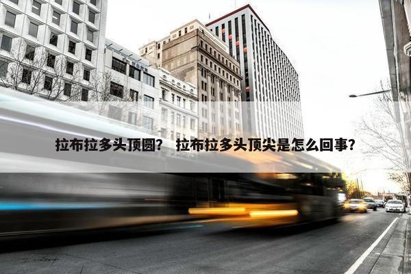 拉布拉多头顶圆？ 拉布拉多头顶尖是怎么回事？