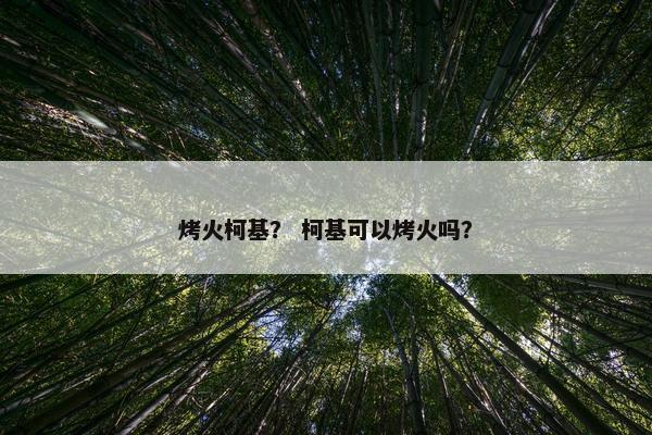 烤火柯基？ 柯基可以烤火吗？