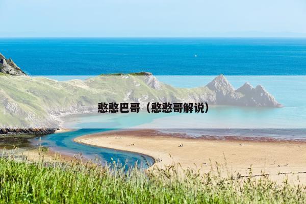 憨憨巴哥（憨憨哥解说）
