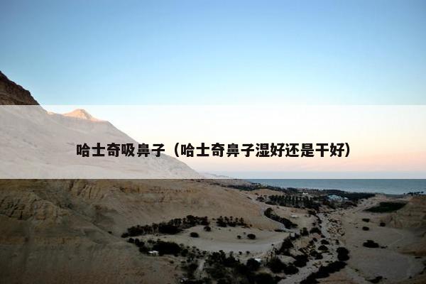 哈士奇吸鼻子（哈士奇鼻子湿好还是干好）