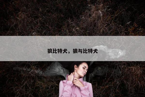 狼比特犬，狼与比特犬