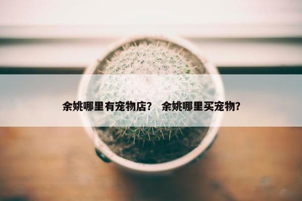 余姚哪里有宠物店？ 余姚哪里买宠物？