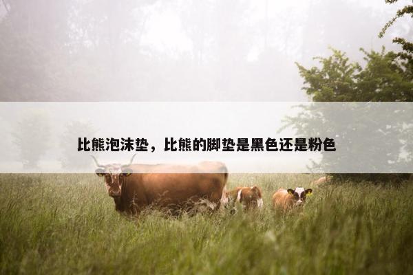 比熊泡沫垫，比熊的脚垫是黑色还是粉色