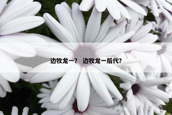 边牧龙一？ 边牧龙一后代？