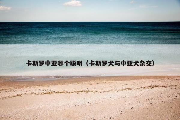卡斯罗中亚哪个聪明（卡斯罗犬与中亚犬杂交）