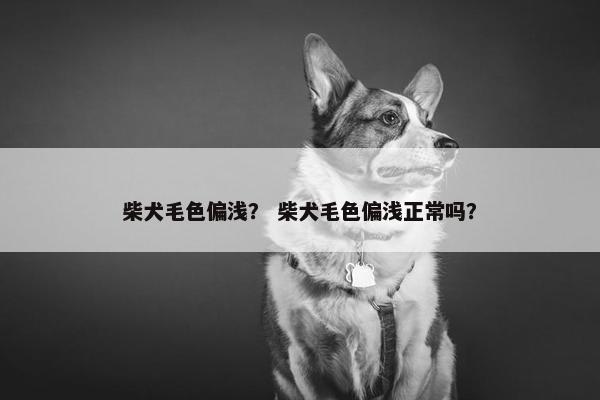 柴犬毛色偏浅？ 柴犬毛色偏浅正常吗？