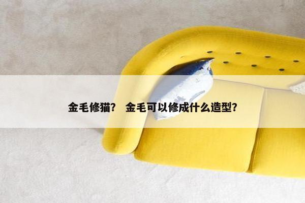 金毛修猫？ 金毛可以修成什么造型？