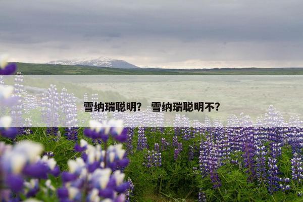 雪纳瑞聪明？ 雪纳瑞聪明不？