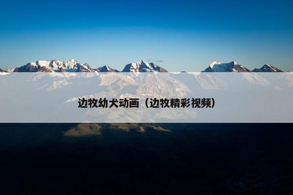 边牧幼犬动画（边牧精彩视频）