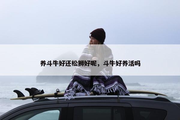 养斗牛好还松狮好呢，斗牛好养活吗