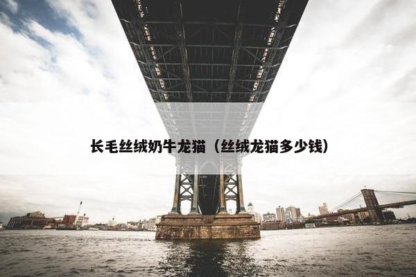 长毛丝绒奶牛龙猫（丝绒龙猫多少钱）