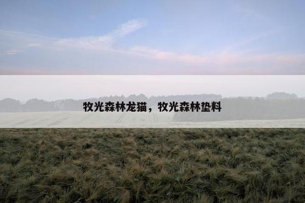 牧光森林龙猫，牧光森林垫料