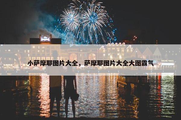小萨摩耶图片大全，萨摩耶图片大全大图霸气