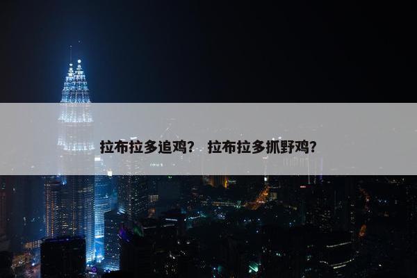 拉布拉多追鸡？ 拉布拉多抓野鸡？