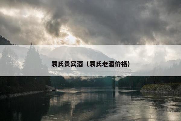 袁氏贵宾酒（袁氏老酒价格）