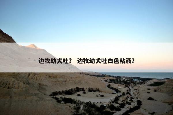 边牧幼犬吐？ 边牧幼犬吐白色粘液？