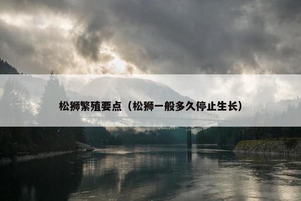松狮繁殖要点（松狮一般多久停止生长）