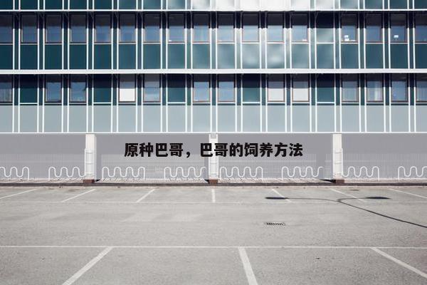 原种巴哥，巴哥的饲养方法