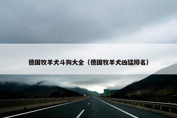 德国牧羊犬斗狗大全（德国牧羊犬凶猛排名）