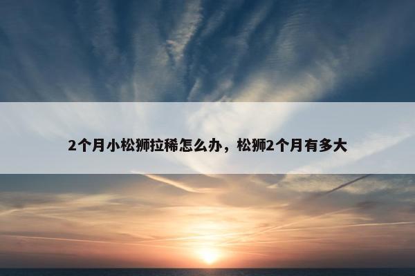 2个月小松狮拉稀怎么办，松狮2个月有多大