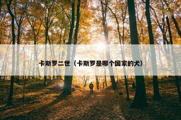 卡斯罗二世（卡斯罗是哪个国家的犬）