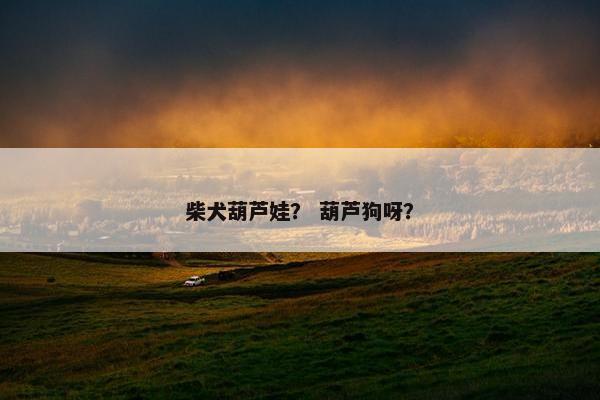 柴犬葫芦娃？ 葫芦狗呀？