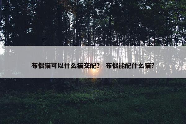 布偶猫可以什么猫交配？ 布偶能配什么猫？