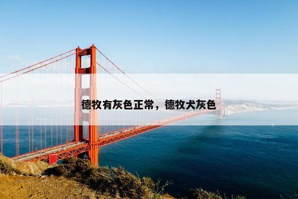 德牧有灰色正常，德牧犬灰色