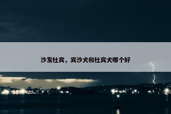 沙发杜宾，宾沙犬和杜宾犬哪个好