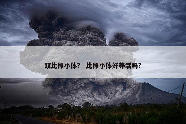 双比熊小体？ 比熊小体好养活吗？