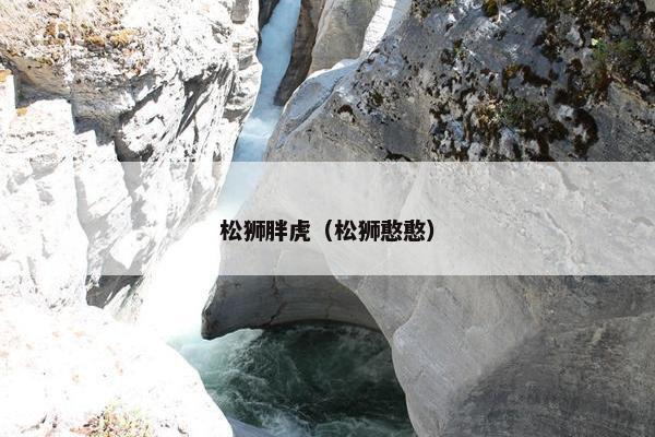松狮胖虎（松狮憨憨）
