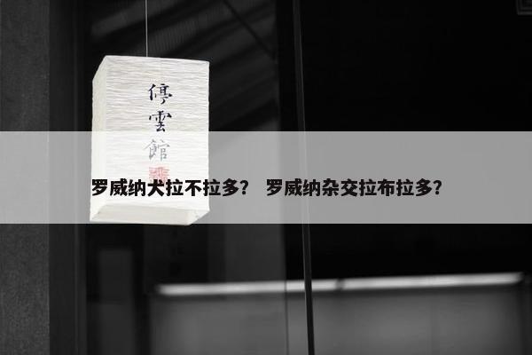 罗威纳犬拉不拉多？ 罗威纳杂交拉布拉多？