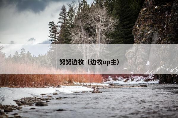努努边牧（边牧up主）