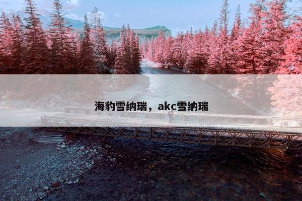海豹雪纳瑞，akc雪纳瑞
