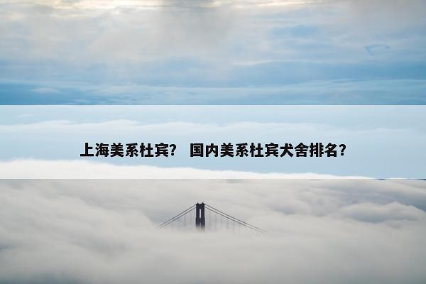 上海美系杜宾？ 国内美系杜宾犬舍排名？