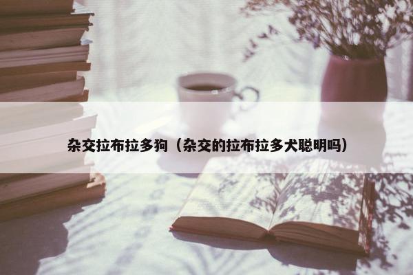 杂交拉布拉多狗（杂交的拉布拉多犬聪明吗）