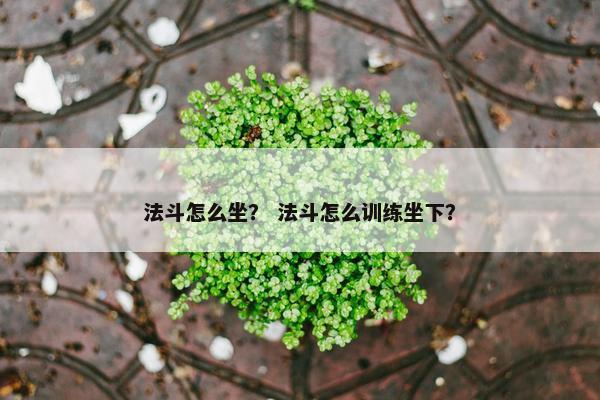 法斗怎么坐？ 法斗怎么训练坐下？