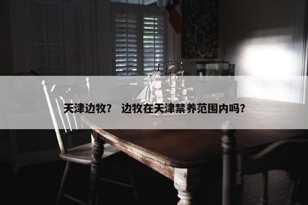 天津边牧？ 边牧在天津禁养范围内吗？