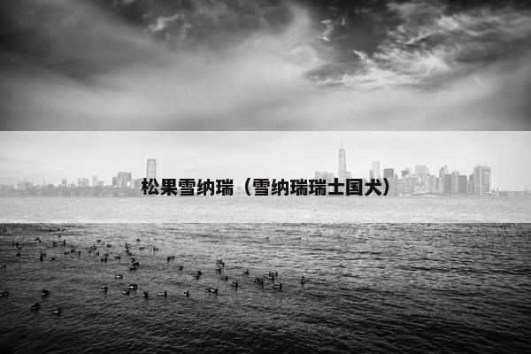 松果雪纳瑞（雪纳瑞瑞士国犬）