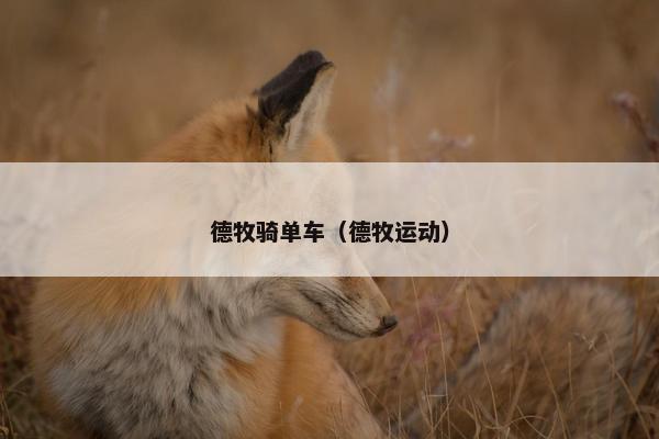 德牧骑单车（德牧运动）