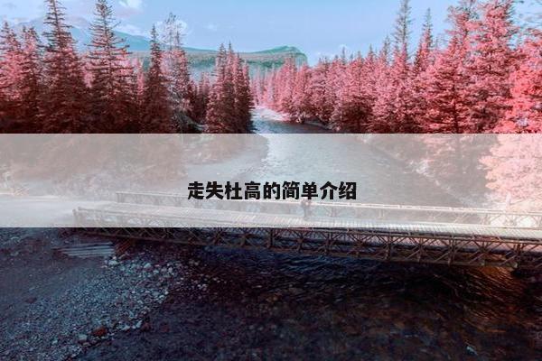 走失杜高的简单介绍