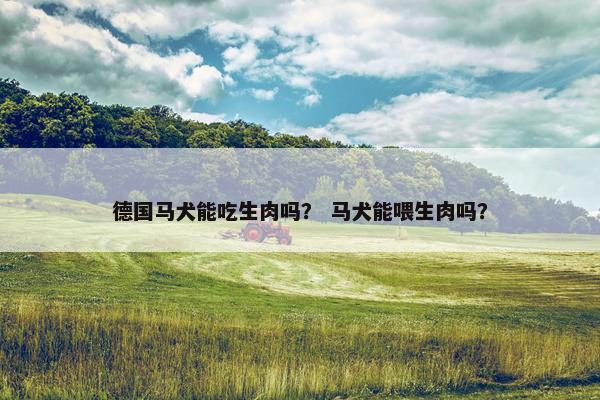 德国马犬能吃生肉吗？ 马犬能喂生肉吗？