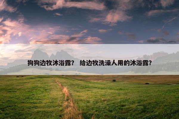 狗狗边牧沐浴露？ 给边牧洗澡人用的沐浴露？