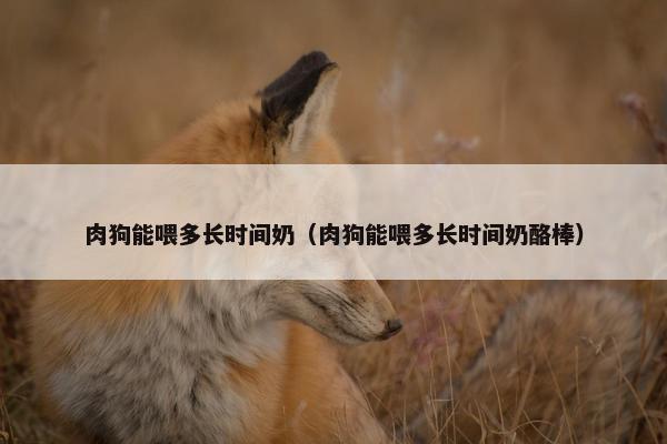 肉狗能喂多长时间奶（肉狗能喂多长时间奶酪棒）